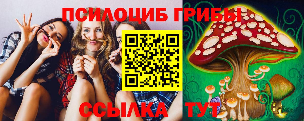 Россия  Галлюциногенные грибы прущие грибы  Вход с VPN 