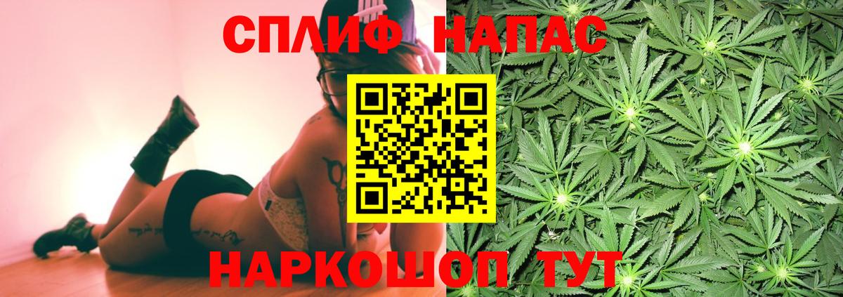 Каннабис планчик Россия
